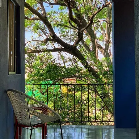 La Betulia Bed&Breakfast-3